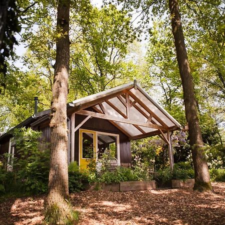Knus Boshuisje Onder De Eiken Ermelo Exterior foto